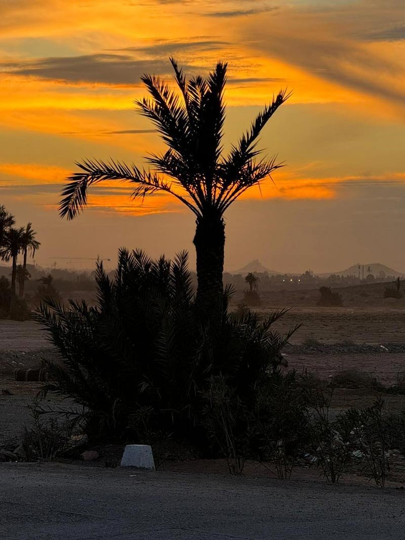 Balade en quad – Image 11